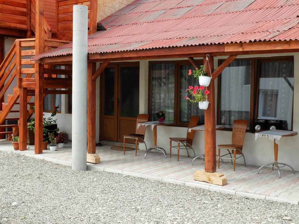 Pension Ioana Lavita Vadu Izei Buitenkant foto