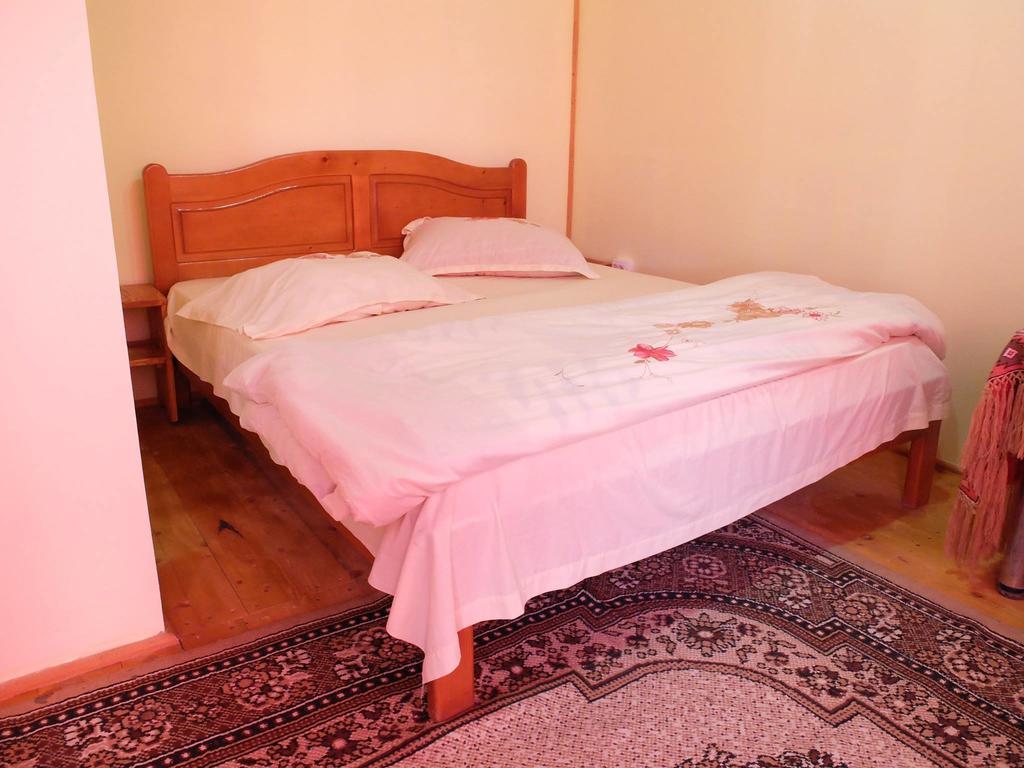 Pension Ioana Lavita Vadu Izei Buitenkant foto