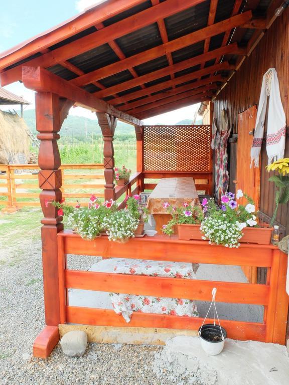 Pension Ioana Lavita Vadu Izei Buitenkant foto