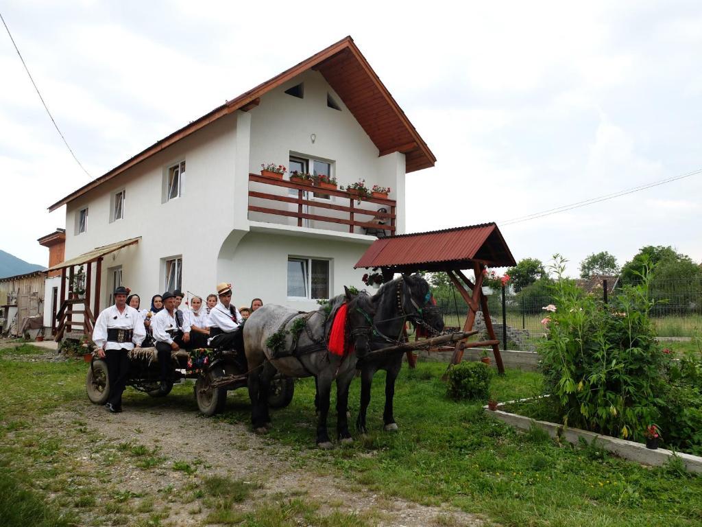 Pension Ioana Lavita Vadu Izei Buitenkant foto